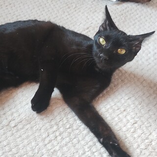 クリクリお目々のすずちゃん