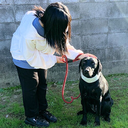 総社市ＡＷＡしつけ教室　 サムネイル3