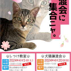 AWA総社犬ねこ譲渡会