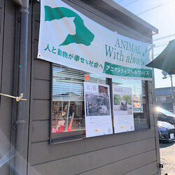 AWA総社犬ねこ譲渡会 サムネイル2