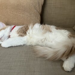 「頓挫と新しい出会い」サムネイル3