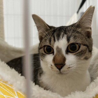 かわいい　キャスちゃん☆