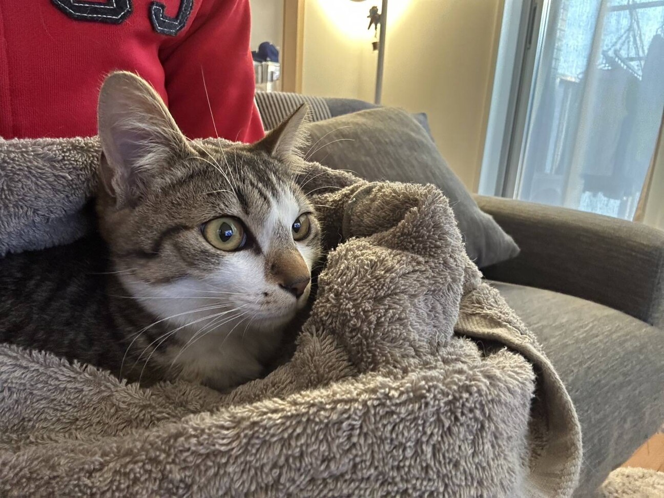 かわいい　キャスちゃん☆ サムネイル3