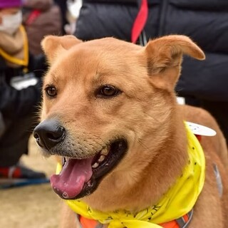 「なとり」女の子