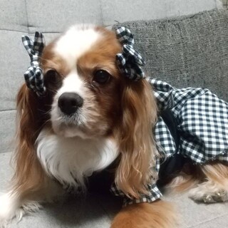 お利口さんで優しい甘え上手な女の子