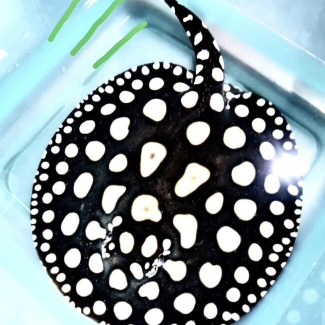 cctvのカバー写真