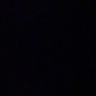 マルチーズ＆ヨーキーmixの男の子（子犬）