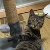 やまだみお