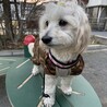とっても元気な女の子