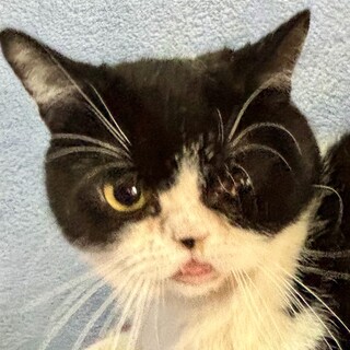 受け口でキュートな笑顔のテテくん