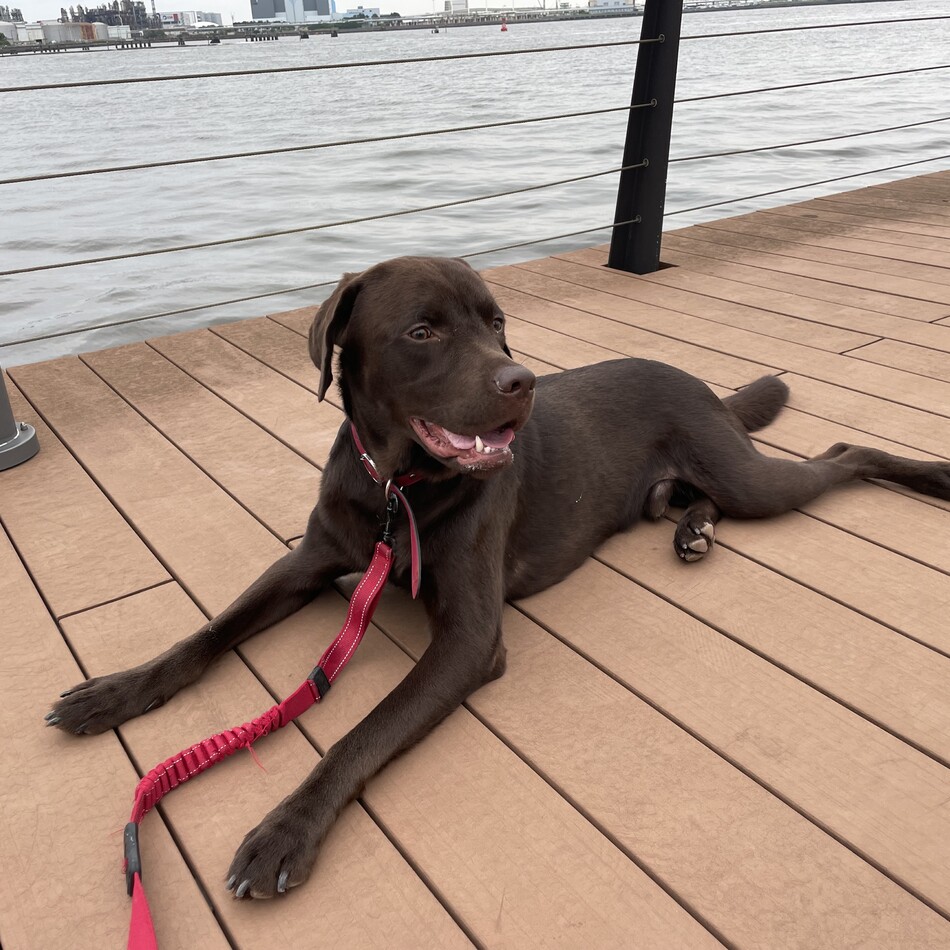 むぎのカバー写真