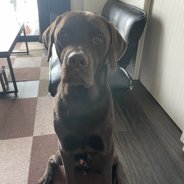 可愛がってあげてください