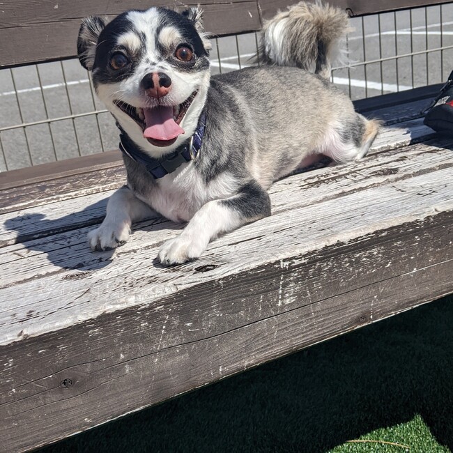 ちゃっとものカバー写真