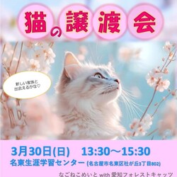 可愛い子ちゃん達との出会いの場