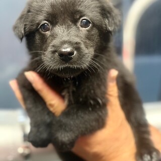 25-W62　可愛い赤ちゃん女子♪