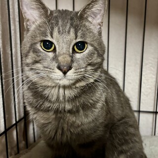 しゃべりで食いしん坊　お茶目なリッキーくん1歳半