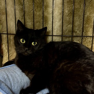 すこし愛して、なが〜く愛して　あんこちゃん10ヶ月