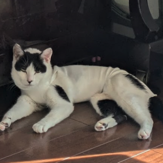 加須、羽生、久喜、邑楽、館林周辺にお住まいの方