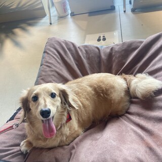 のんびり屋、マイペースなココちゃん！！