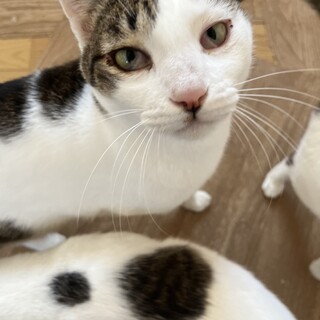 お尻トントン大好き◎りん君♂