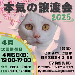 本気の譲渡会