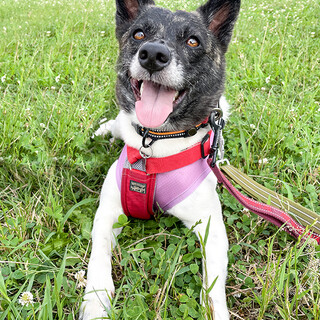 「すう」女の子