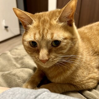 甘えん坊に進化のポポちん！