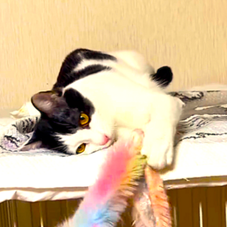 おっとりナナちゃん♥