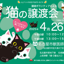 猫の譲渡会☆大須商店街近く
