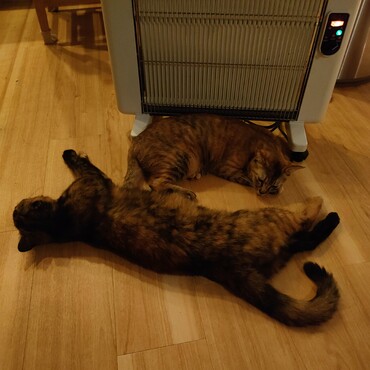 遠赤外線ヒーター