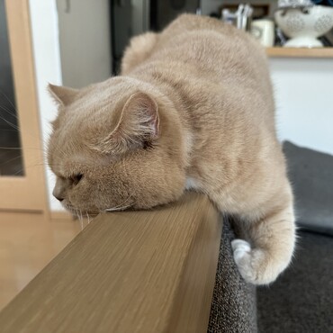 もっちゃん、手、どんなんなってんの！？笑