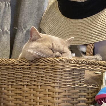 ほっぺのお肉がはみだしてしまうもっちゃん。