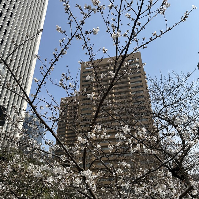 なべにゃのカバー写真