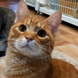 シャイな甘えん坊♡サニーくん