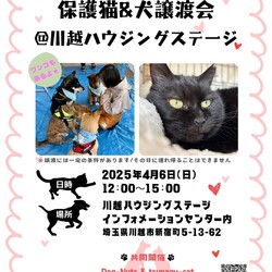 保護猫&保護犬 譲渡会 in 川越市