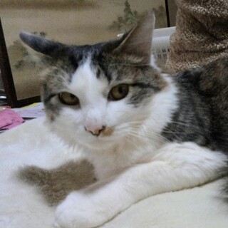 イケメンなのに写真写りが悪いんです。残念。