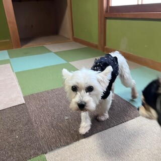 決定☆『ほわ』アピール上手な立ちが出来ちゃいます。