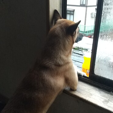 空気うめーなー