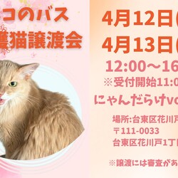 保護猫譲渡会@にゃんだらけvol.18