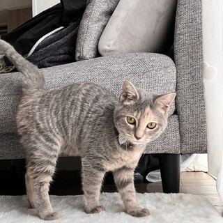 デレデレでやんちゃな女の子