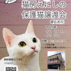 猫房えにしの保護猫譲渡会@長寿院