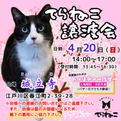 【第11回】てらねこ譲渡会