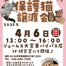 秘密結社ねこのひげ♡保護猫譲渡会