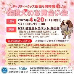  NTP 名古屋トヨペット熱田店様 お見合い会＆グッズ販売