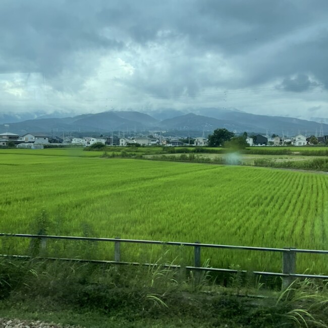 なるコロのカバー写真