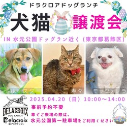 東京都葛飾区水元公園譲渡会