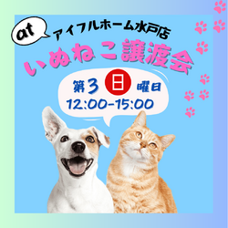 いぬねこ譲渡会 at アイフルホーム水戸店