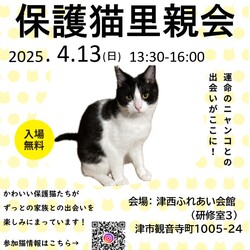 保護猫譲渡会in津西ふれあい会館