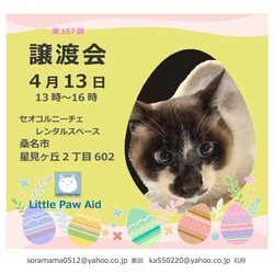 三重県桑名市4月13日(日)リトルパウエイド譲渡会