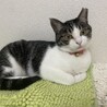 少しはおとなしくして欲しい